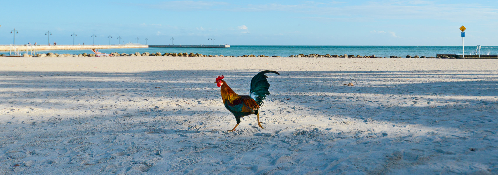 on higgs beach